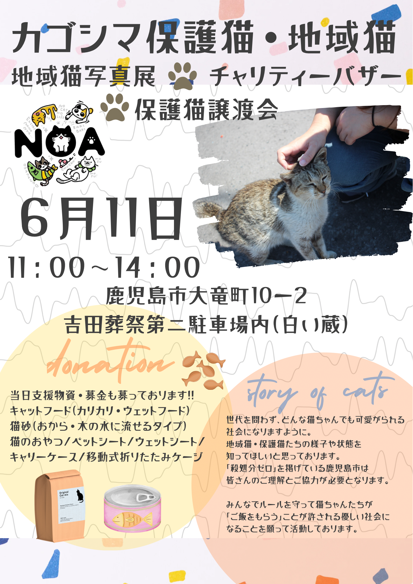 鹿児島保護猫・地域猫/チャリティバザー＆写真展♪