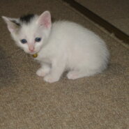 4/6生まれの湊君