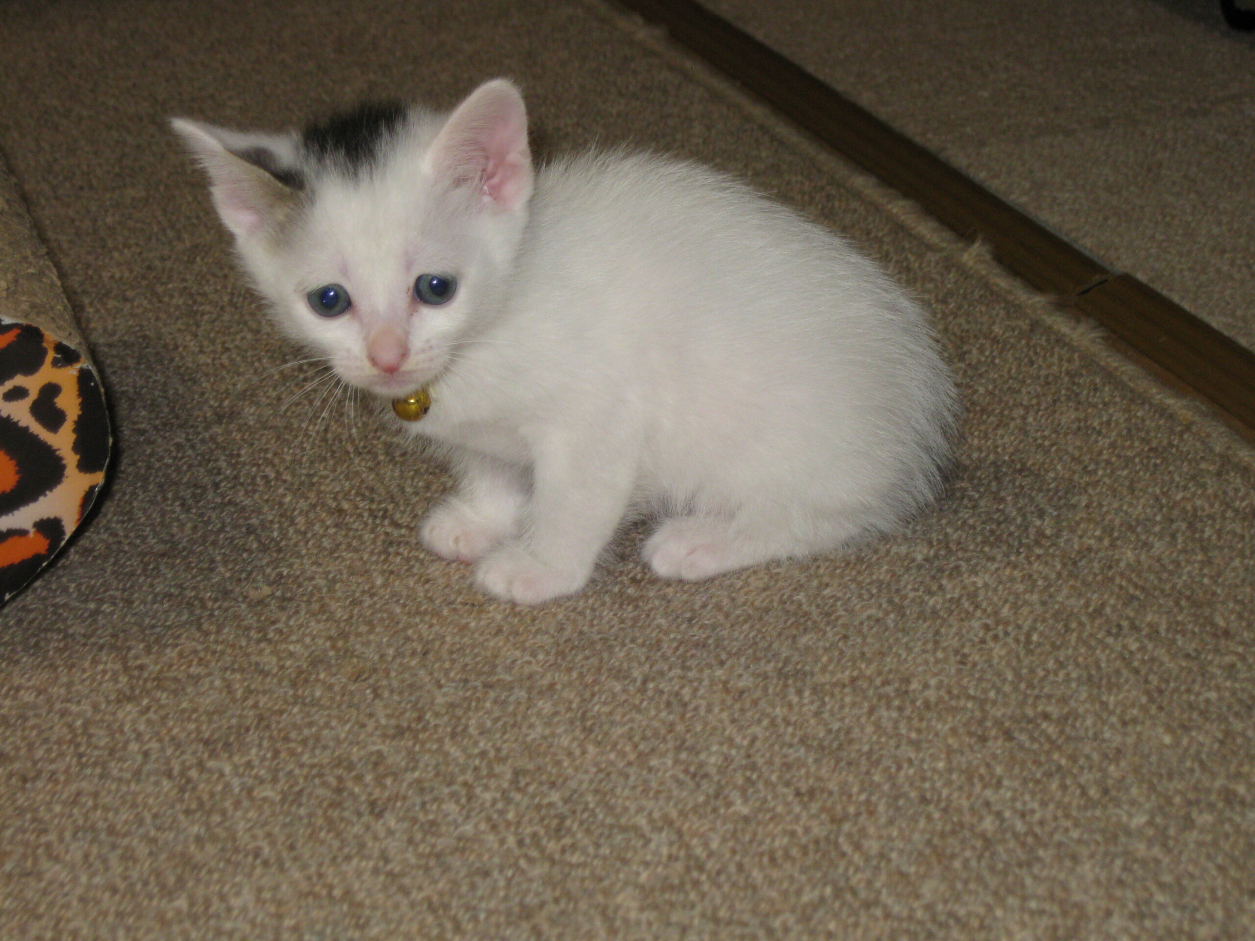 4/6生まれの湊君