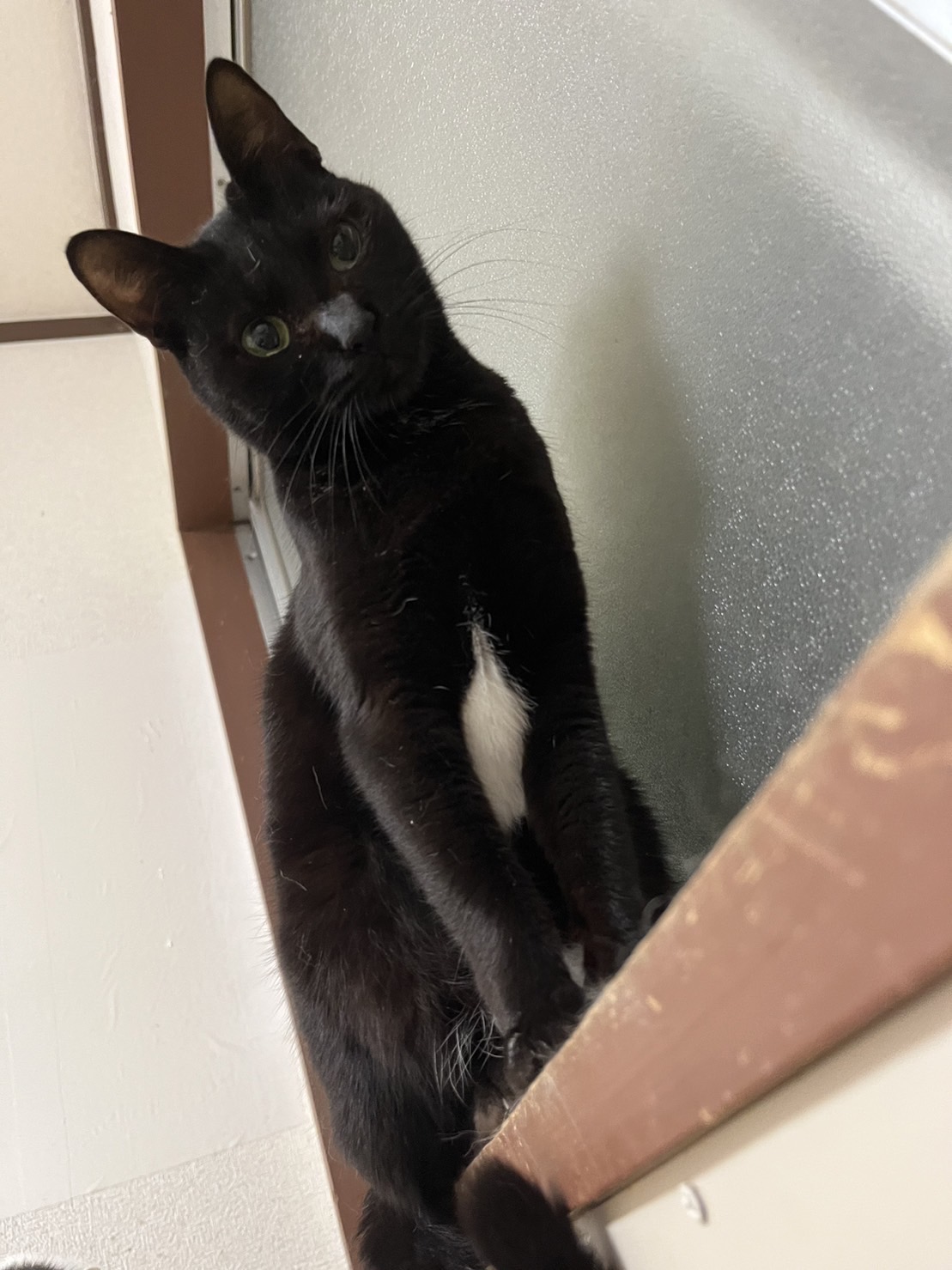 小柄な大人しめの女の子。