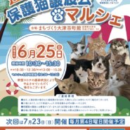 百町保護猫譲渡会&マルシェ