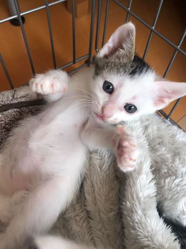 4/6生まれの蓮君