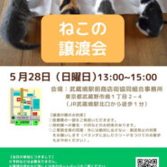 むさしの地域猫の会　譲渡会