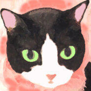 ★ゆめネコ譲渡会★日本橋三越 歩５分