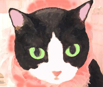 ★ゆめネコ譲渡会★ 東京都登録譲渡団体 日本橋三越 歩５分