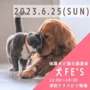 保護犬と猫の譲渡会 【犬Ｆéｓ」