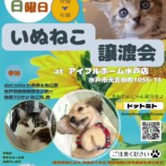 いぬねこ譲渡会　at アイフルホーム水戸店さん