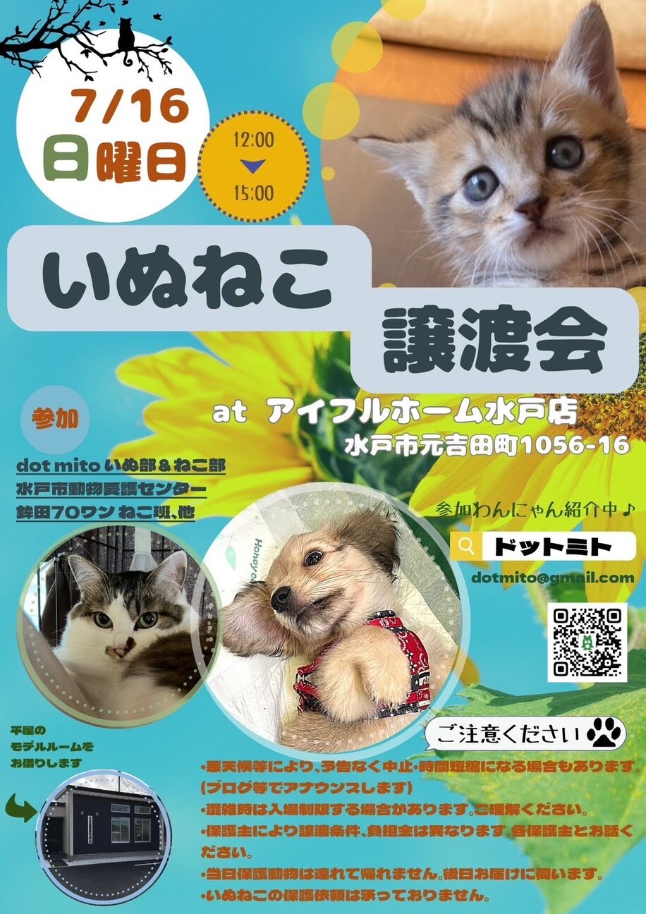 いぬねこ譲渡会　at アイフルホーム水戸店さん