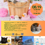 トニャリエ譲渡会