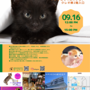 トニャリエ譲渡会