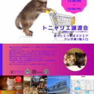 トニャリエ譲渡会