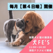 保護犬猫の譲渡会【犬Fēs】