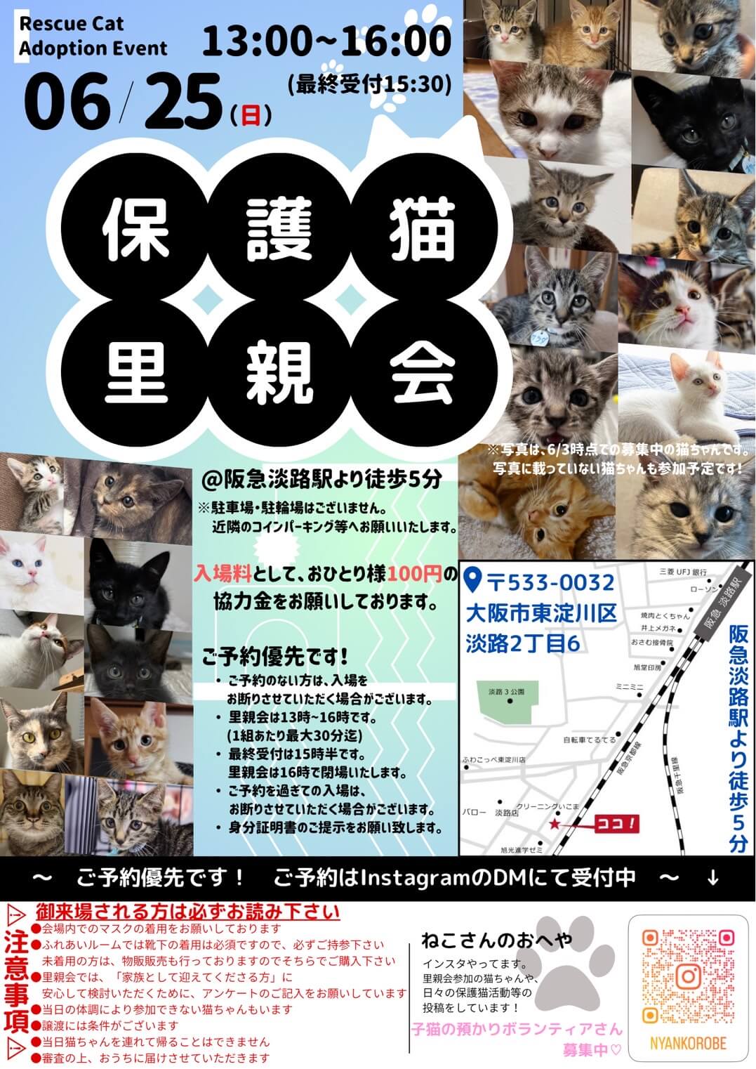 ♥子猫だらけの里親会♥