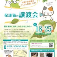 保護猫の譲渡会