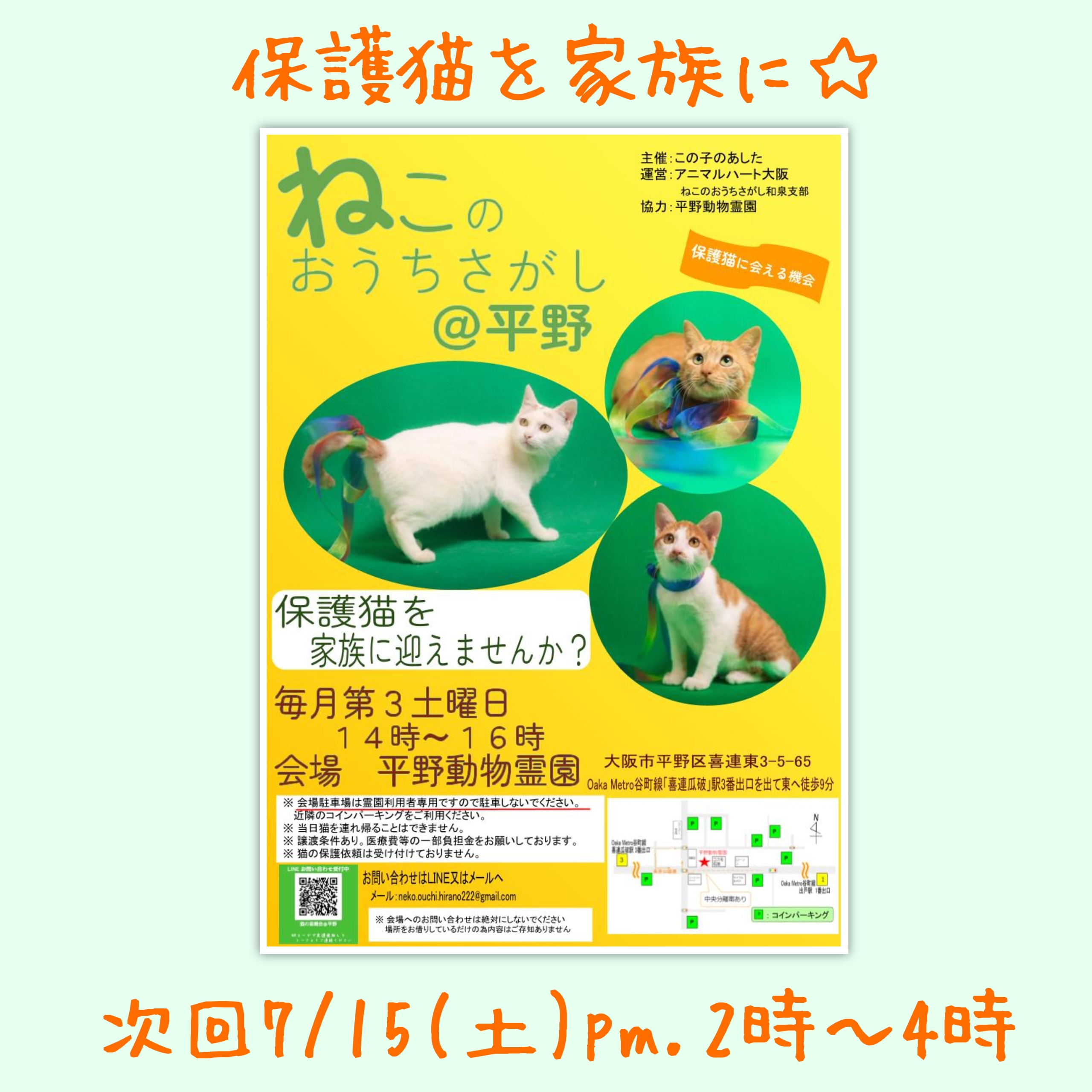 7/15(土)ねこのおうちさがし＠平野