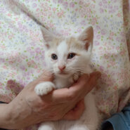 写真より可愛いです！『ロイ』２ヵ月