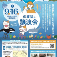 保護猫の譲渡会