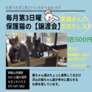 譲渡会＆愛猫さんの爪切り