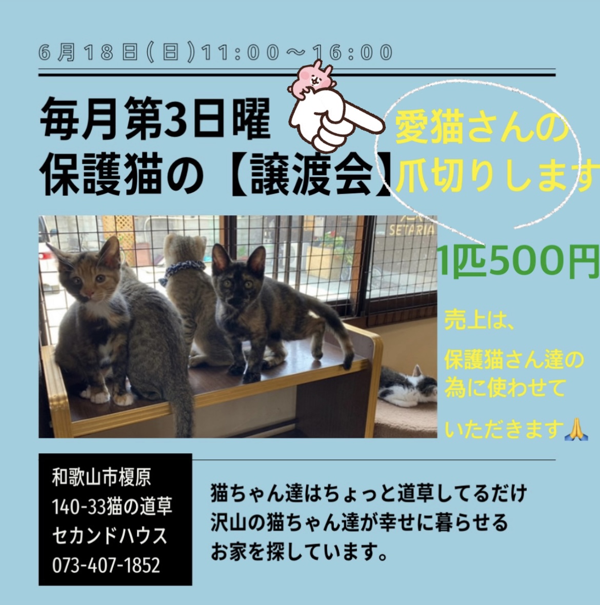 譲渡会＆愛猫さんの爪切り