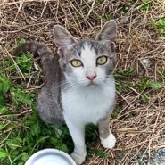 人懐っこい女の子♪（避妊済）