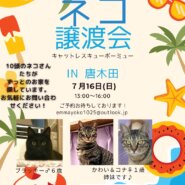 保護猫譲渡会のお知らせ
