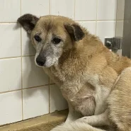 恐怖で固まってます。助けて下さい