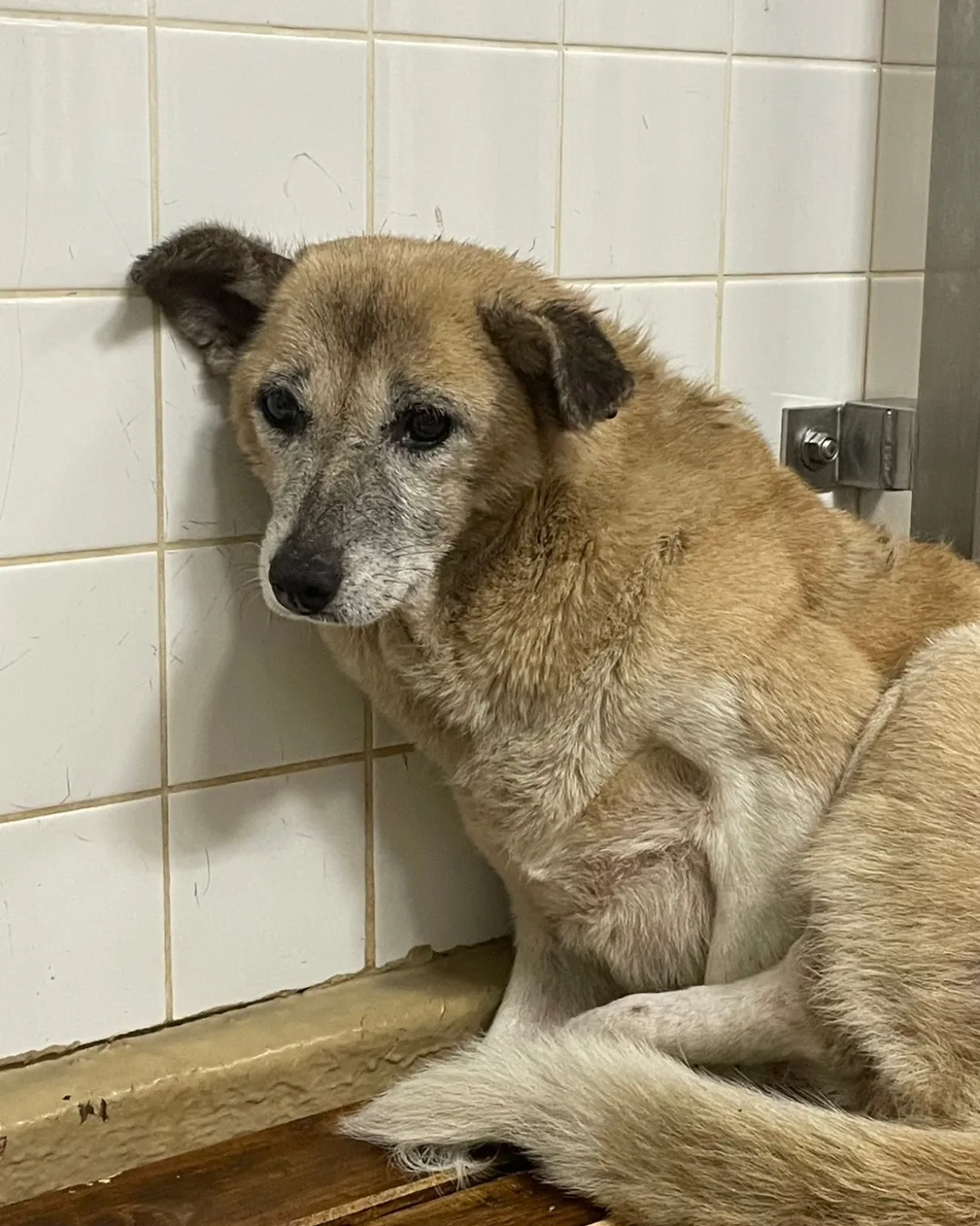 恐怖で固まってます。助けて下さい