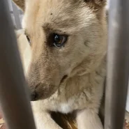 緊張感MAXの女の子です家族に迎えて下さい