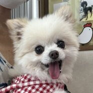 明るく元気な女の子♪