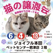 (千葉県君津市) 猫の譲渡会