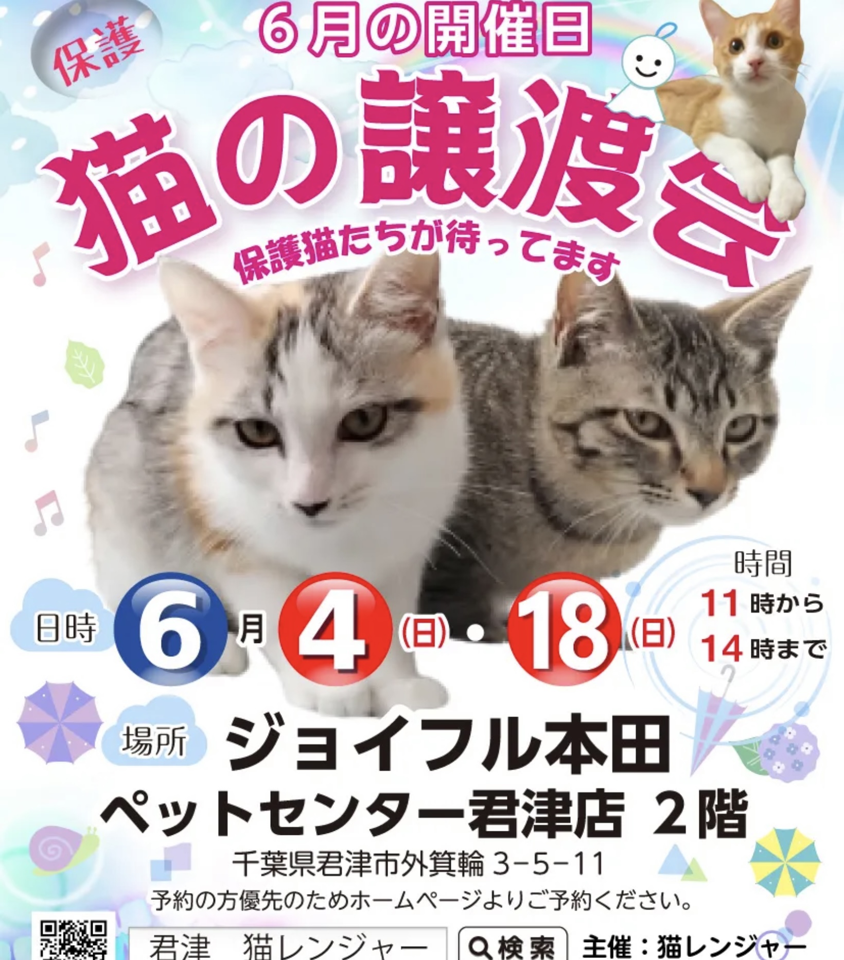 (千葉県君津市) 猫の譲渡会