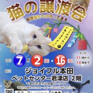 (君津市)猫の譲渡