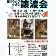 ツムグ小さな譲渡会