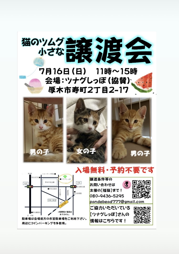 ツムグ小さな譲渡会