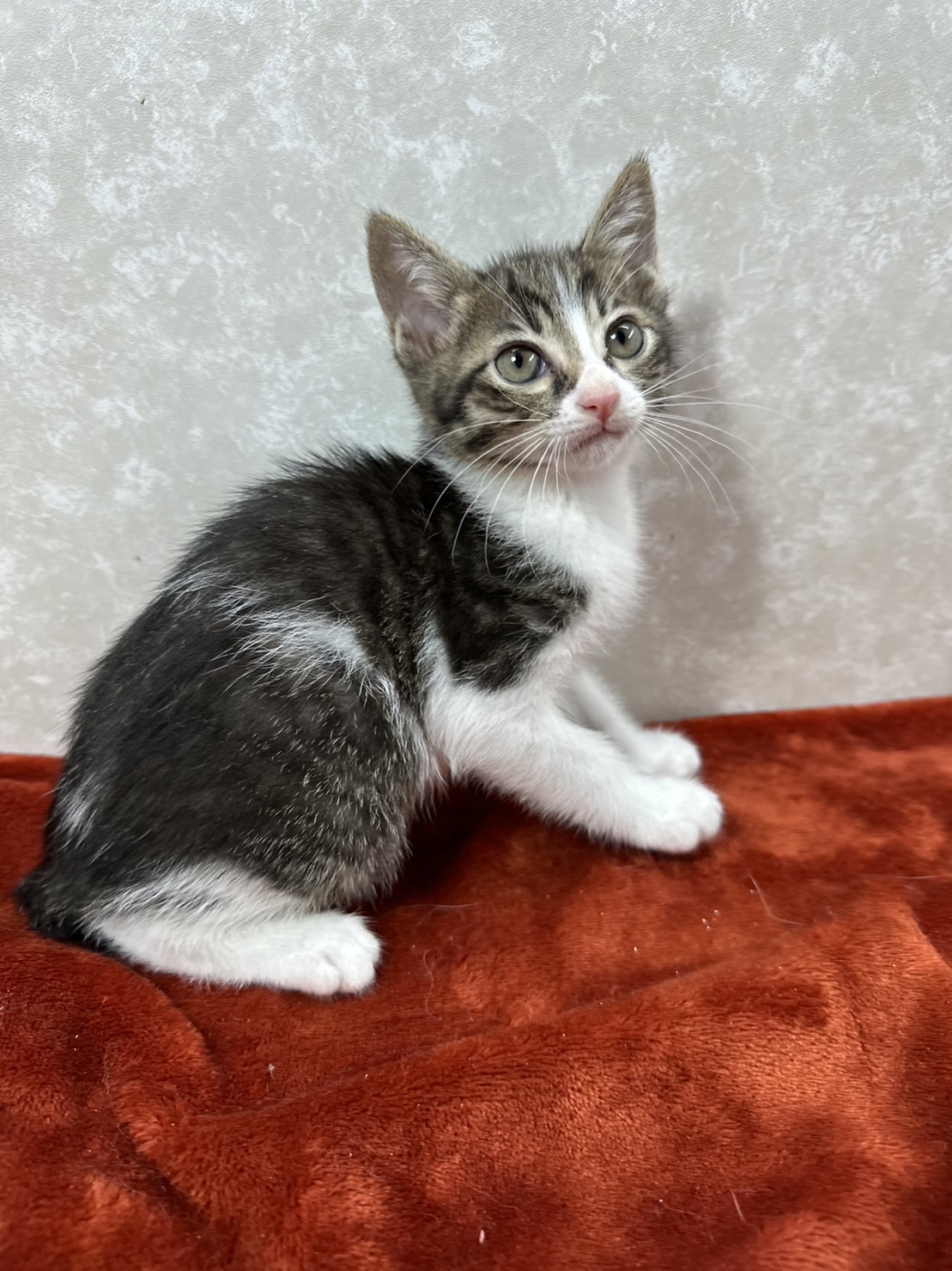 四兄弟いつでも元気一杯！パワー全開❤海