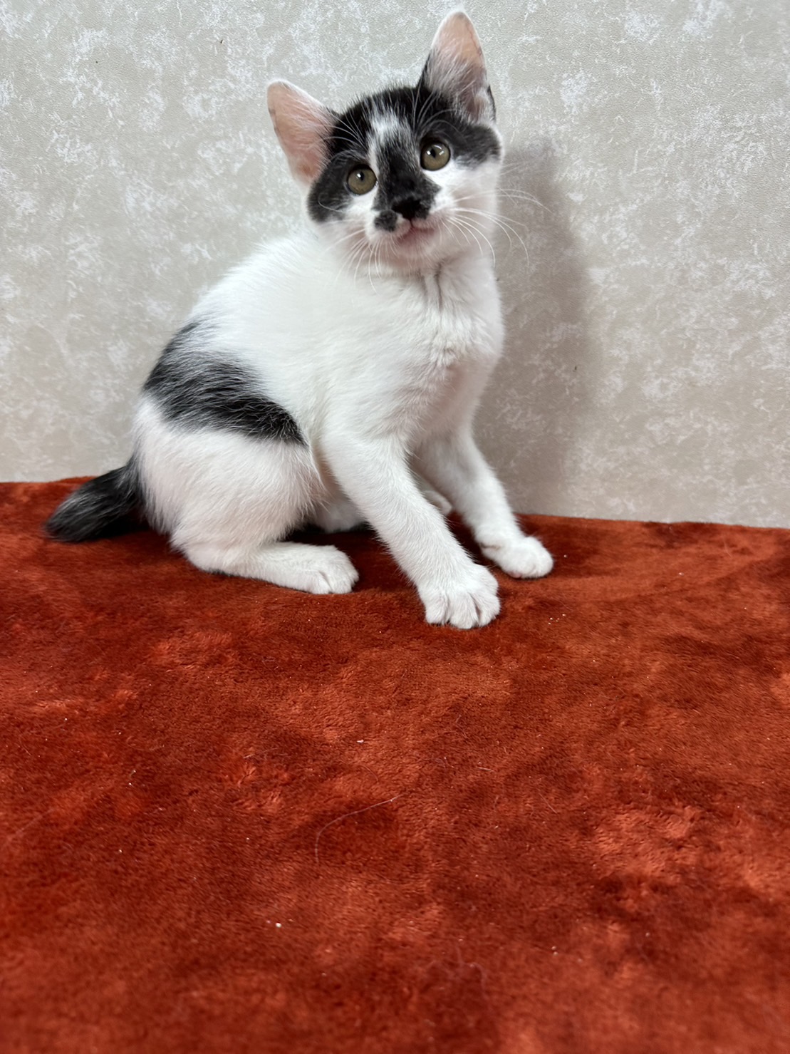 四兄弟いつでも元気一杯！パワー全開❤夢