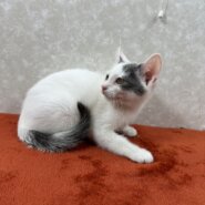 兄弟で幸せ探しにここまで来ました！兄の❤のらりです