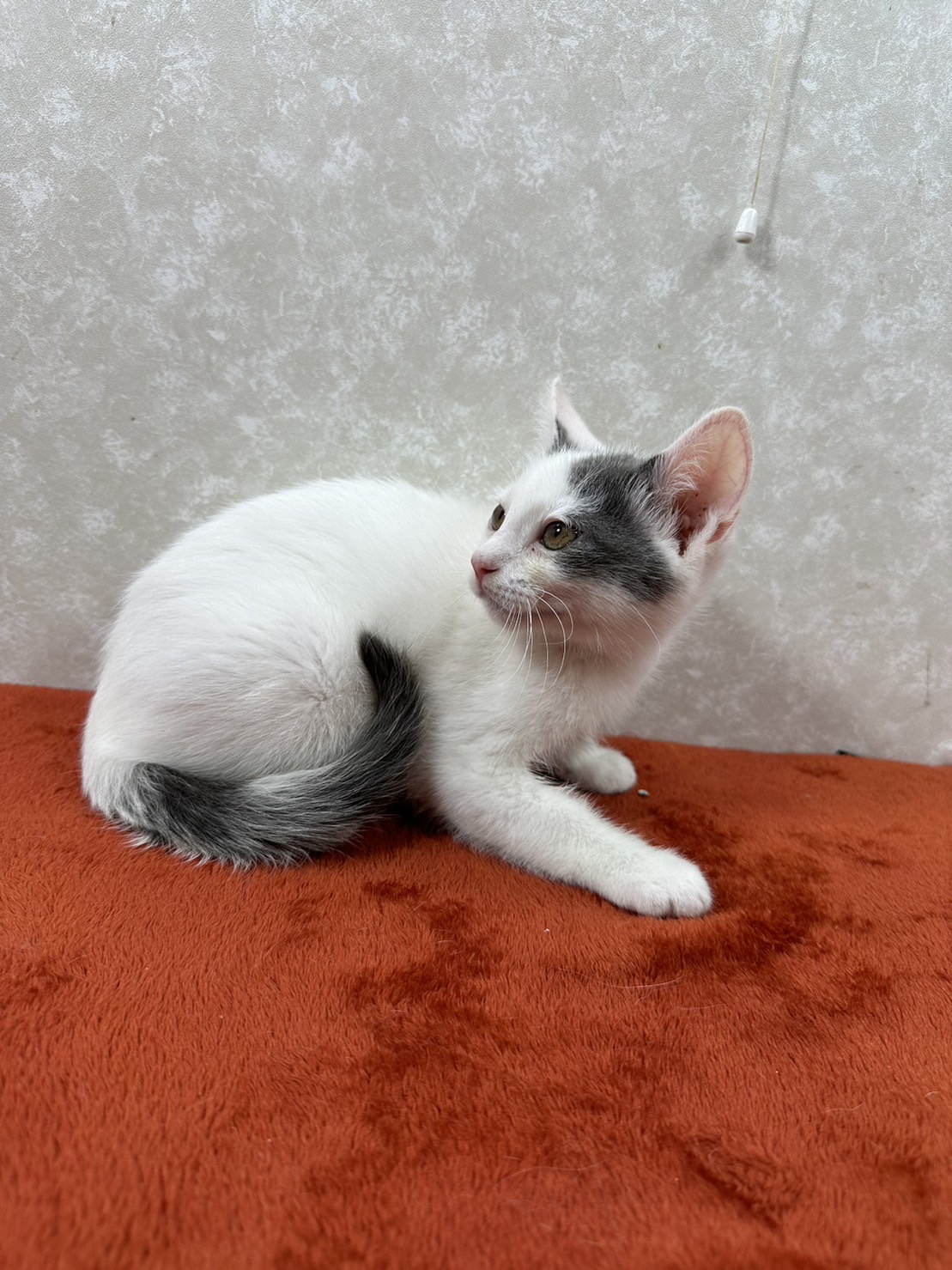 兄弟で幸せ探しにここまで来ました！兄の❤のらりです