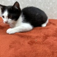 兄弟で幸せ探しにここまで来ました！弟の❤くらりです