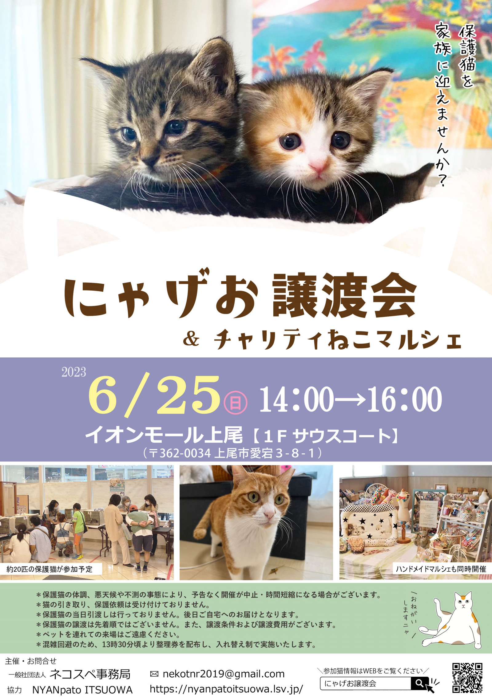【イオンモール上尾】にゃげお譲渡会