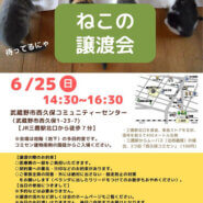 むさしの地域猫の会　譲渡会
