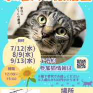 水曜日の譲渡会