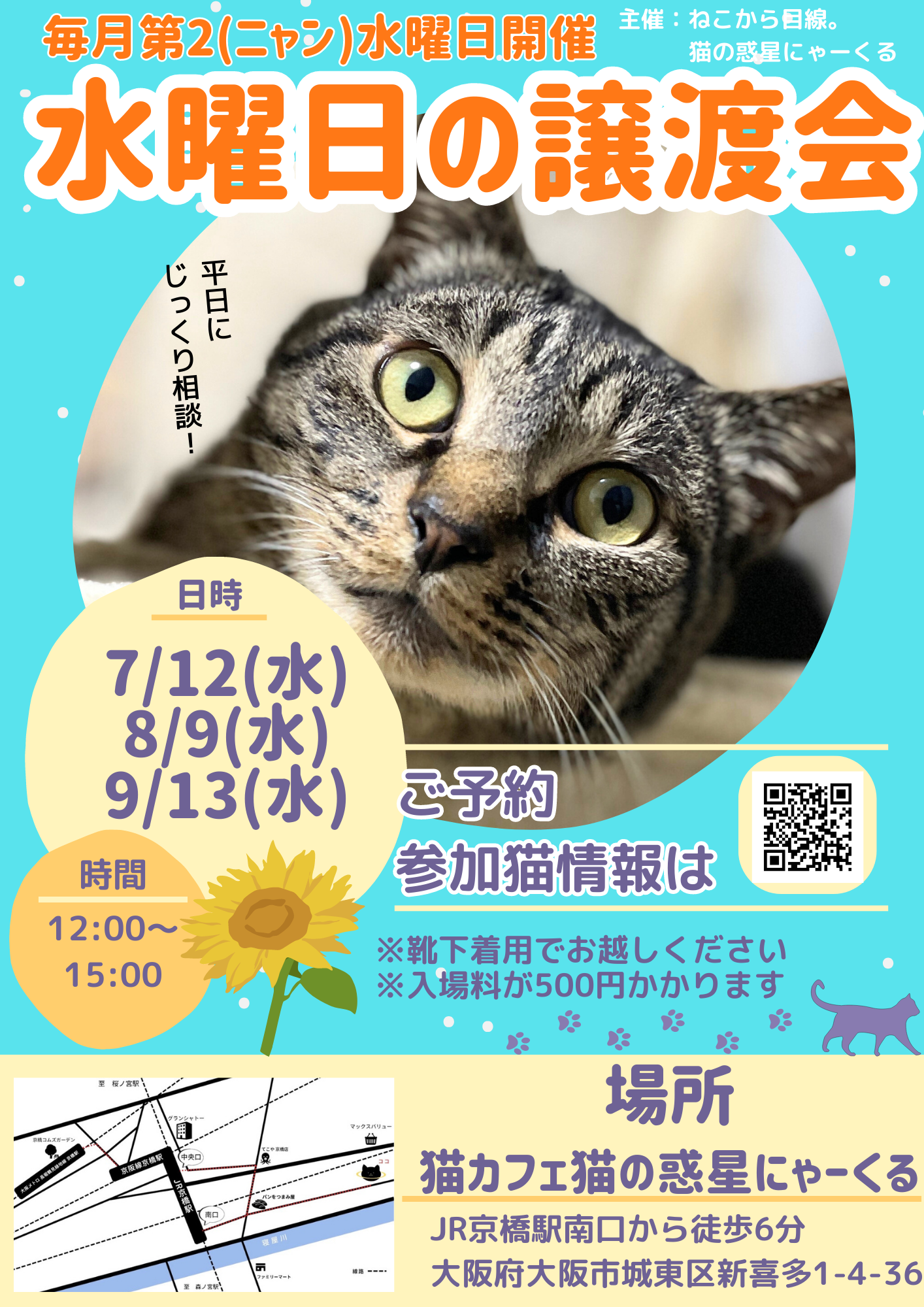 水曜日の譲渡会