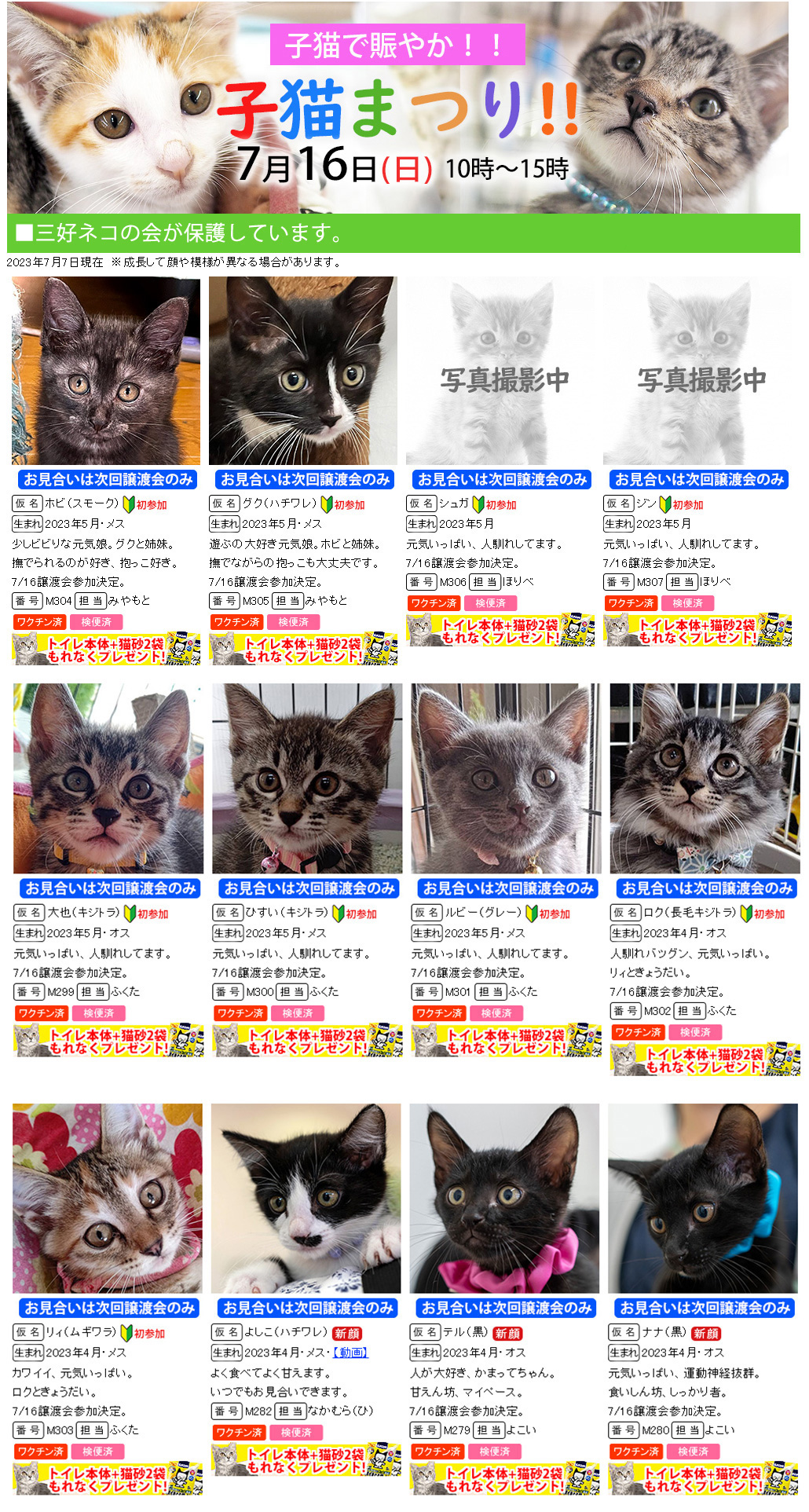 チビねこ祭り28匹！愛知県みよし市