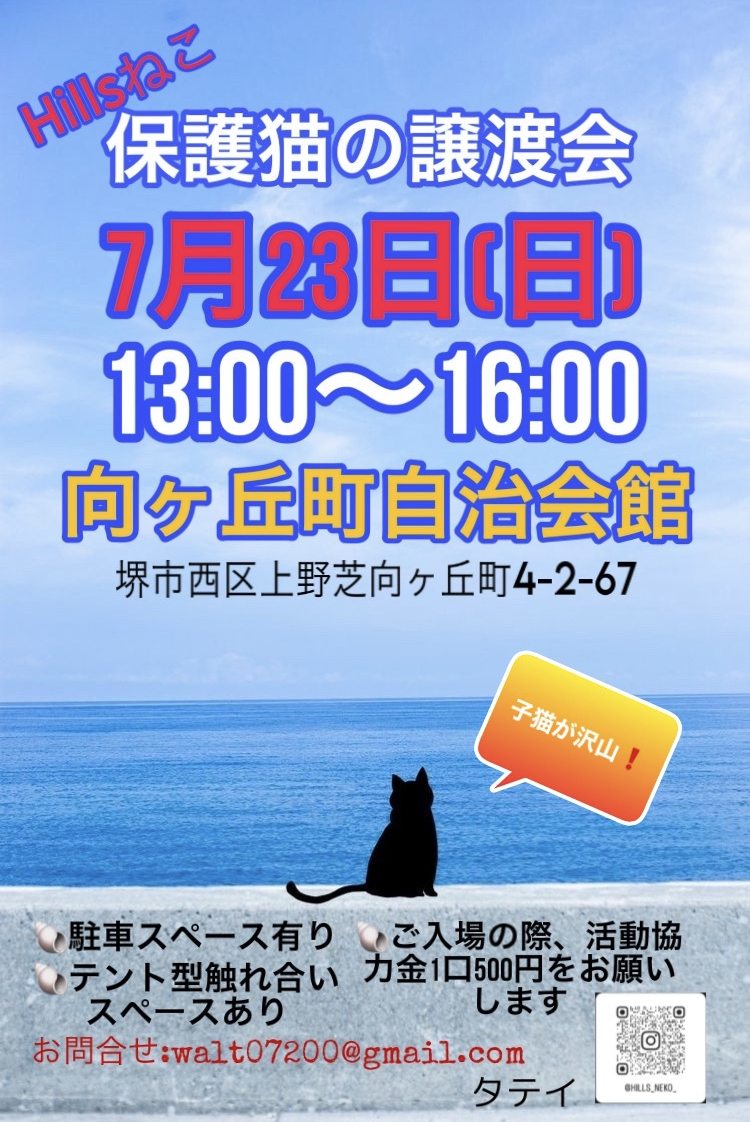 保護猫の譲渡会