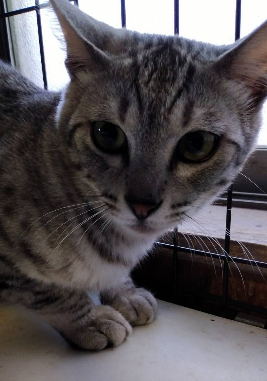 竹ちゃん・穏やかな男の子