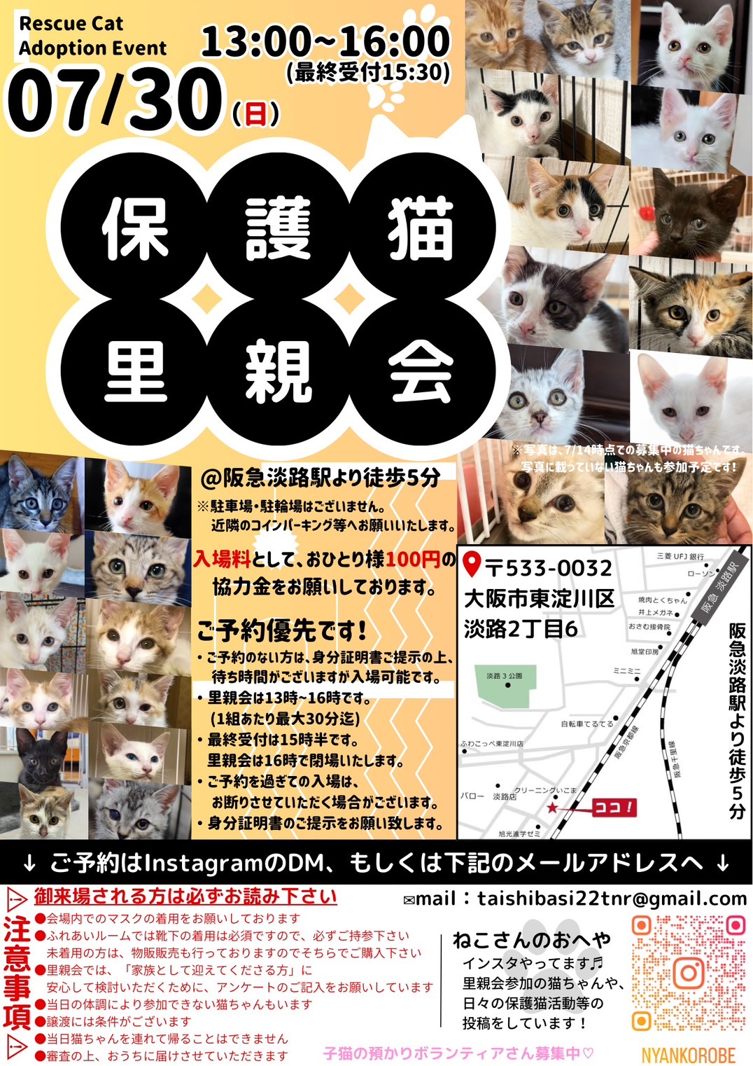 子猫だらけの里親会　第３回目