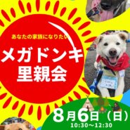 メガドンキ里親会