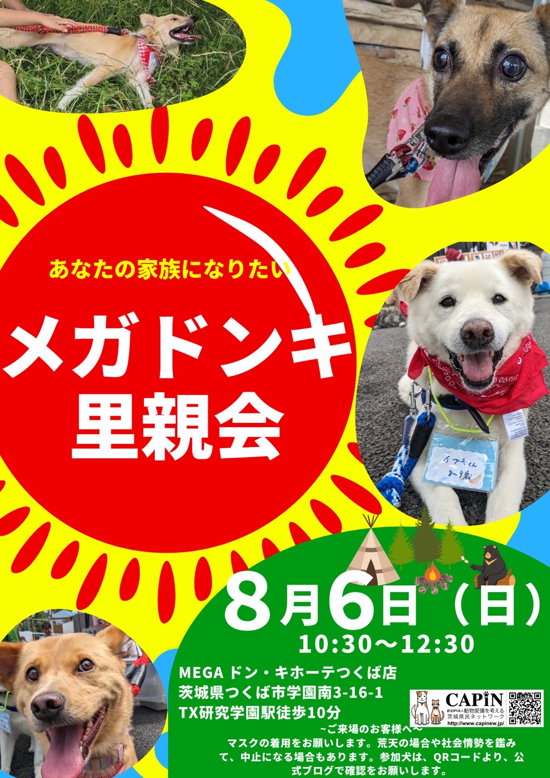 メガドンキ里親会