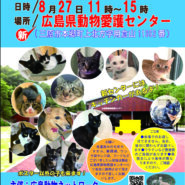 犬猫譲渡会